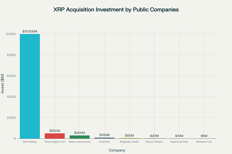 Potential Investment in XRP