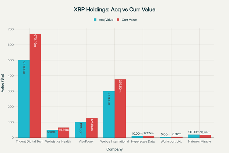 XRP Holdings: Gains/Loss (Assumption)